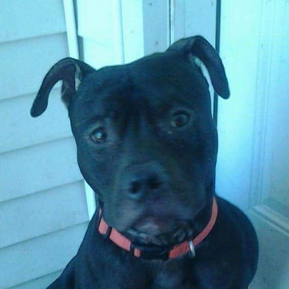 Meet your Posher, Comet